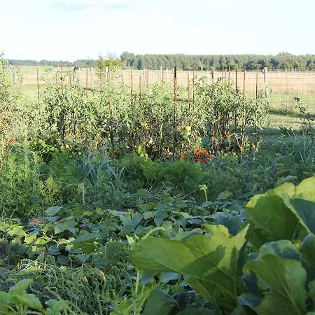 Haute Perche Отель типа 