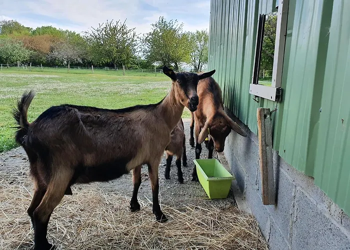 Haute Perche לינה וארוחת בוקר *