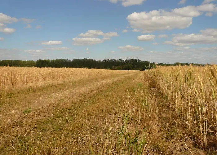 Haute Perche Chigné