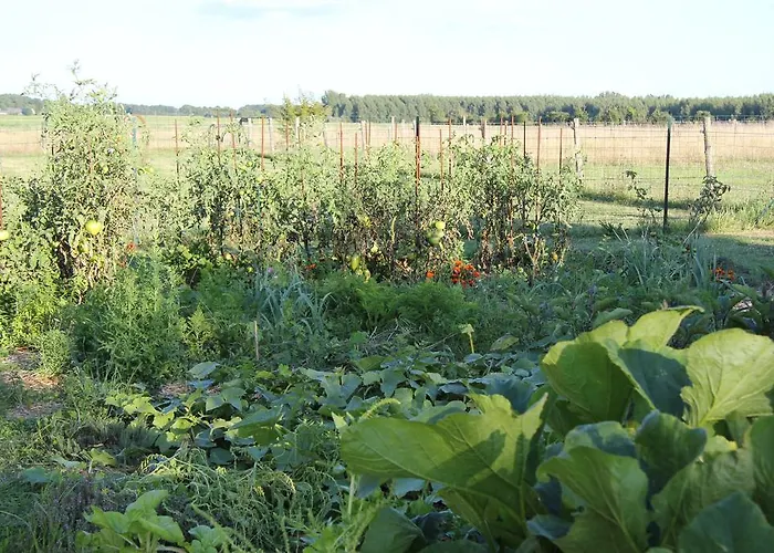 Haute Perche לינה וארוחת בוקר Chigné