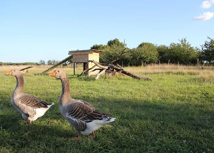 Haute Perche לינה וארוחת בוקר
